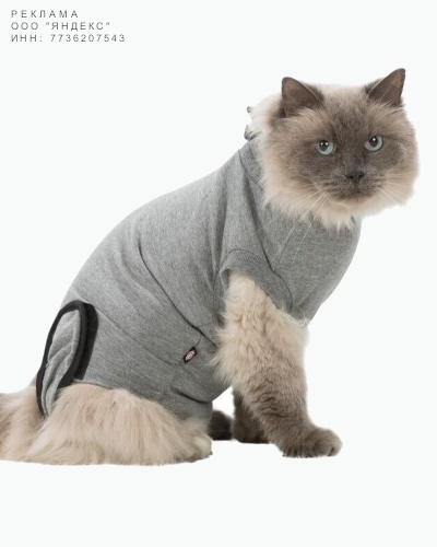 Товары для кошек Одежда